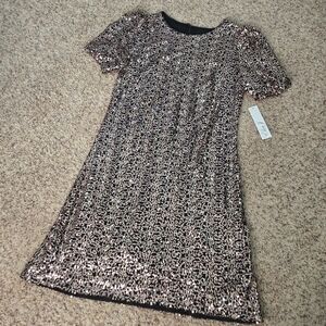 NWT Puff Sleeve Sequin Dress